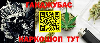 a pvp Камышлов