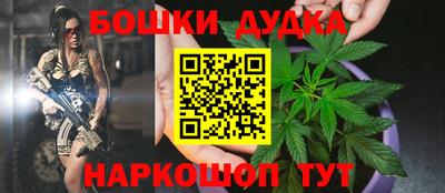a pvp Камышлов