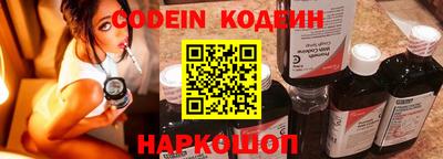 a pvp Камышлов