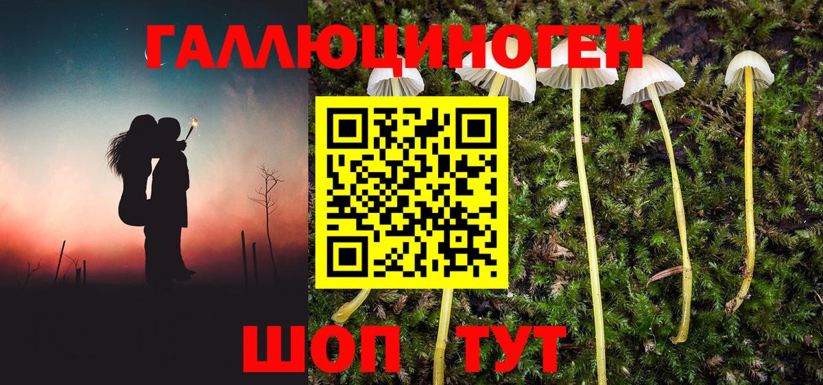Чайковский  магазин    Вход с VPN  Галлюциногенные грибы ЛСД 