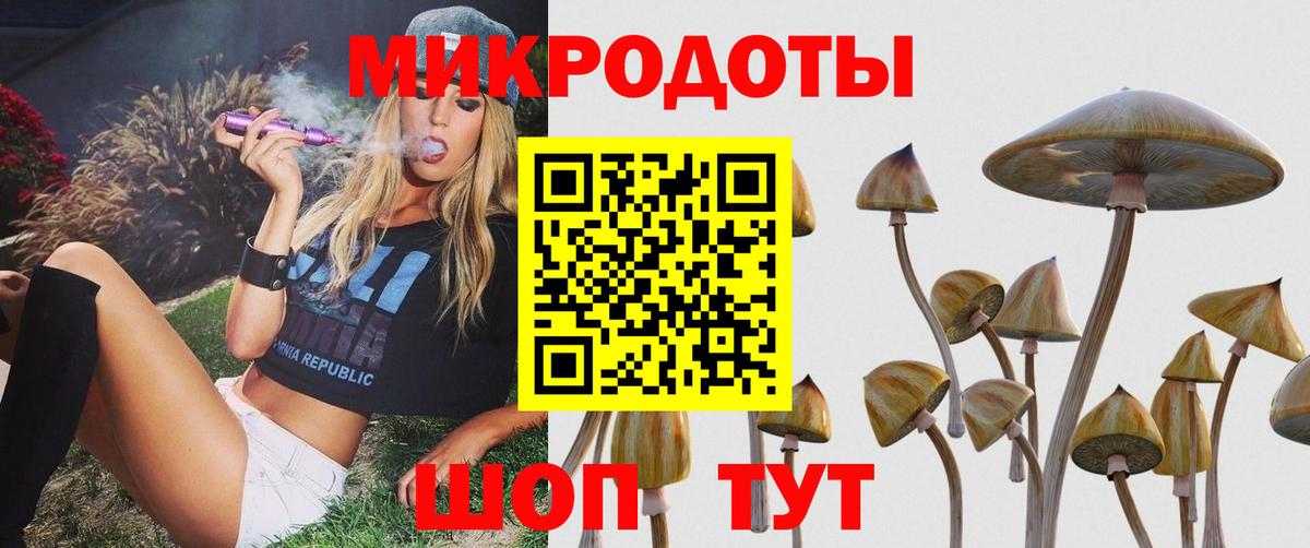 Псилоцибиновые грибы Cubensis Чайковский